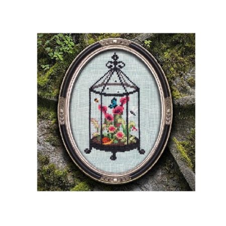 Carnivorous Terrarium