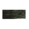 Ponderosa Pine - Classic Colorworks