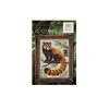 The Red Panda